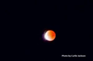 Close-up of a blood moon during a lunar eclipse against a dark sky.