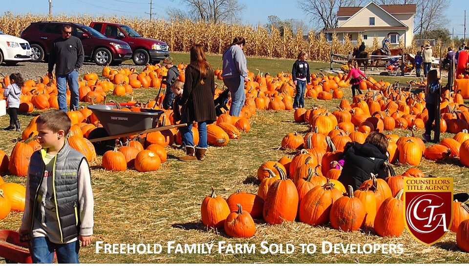 Families picking pumpkins in a vibrant pumpkin patch under a clear sky.