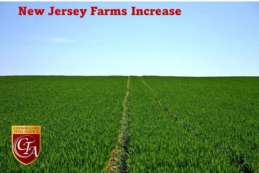 A green field with tractor tracks under a clear blue sky.