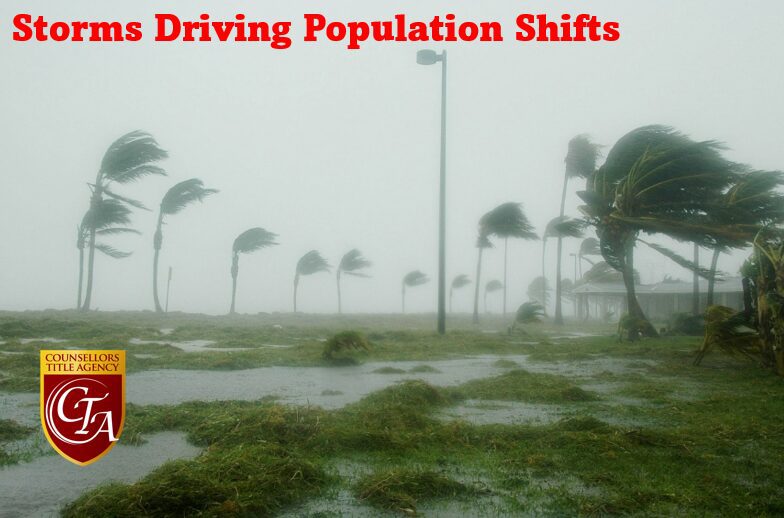 Strong winds bend palm trees during a storm, illustrating climate impact on population shifts.