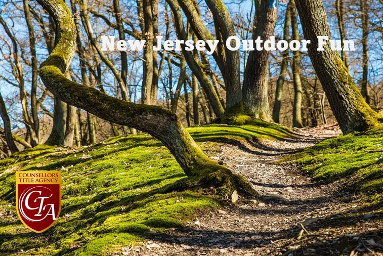 A mossy wooded trail in New Jersey outdoors during early spring.