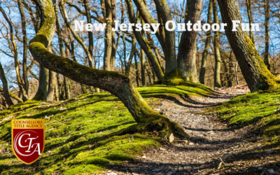 December Monmouth County Events – Discover the Winter Wonders