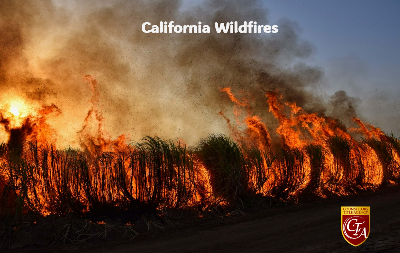 Wildfire burning through dry vegetation at sunset.