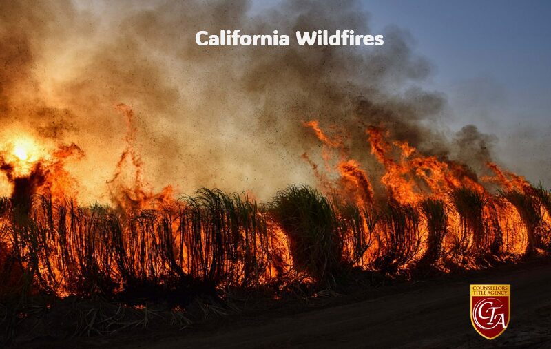 Intense wildfire flames engulf California vegetation under thick smoke.