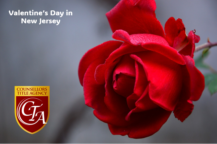 Red rose with Valentine's Day text overlay.